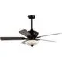 Ceiling Fan with Light and Remote Control - Black