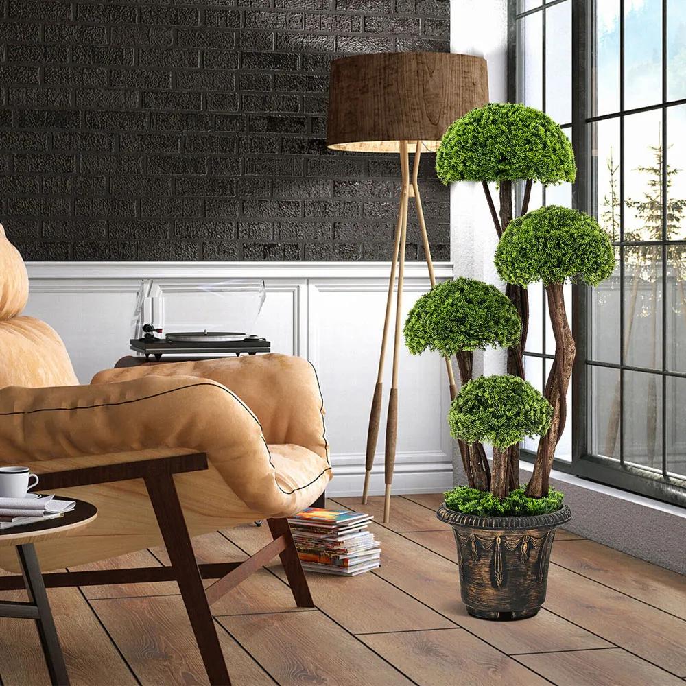 Cypress Tree In Pot 3ft - Multi