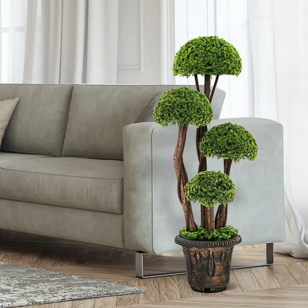 Cypress Tree In Pot 3ft - Multi