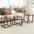 Metal Coffee Table Set of 3 - Brown