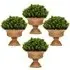 Mini Faux Pine Cone Tree In Pot 4 Pack - Green