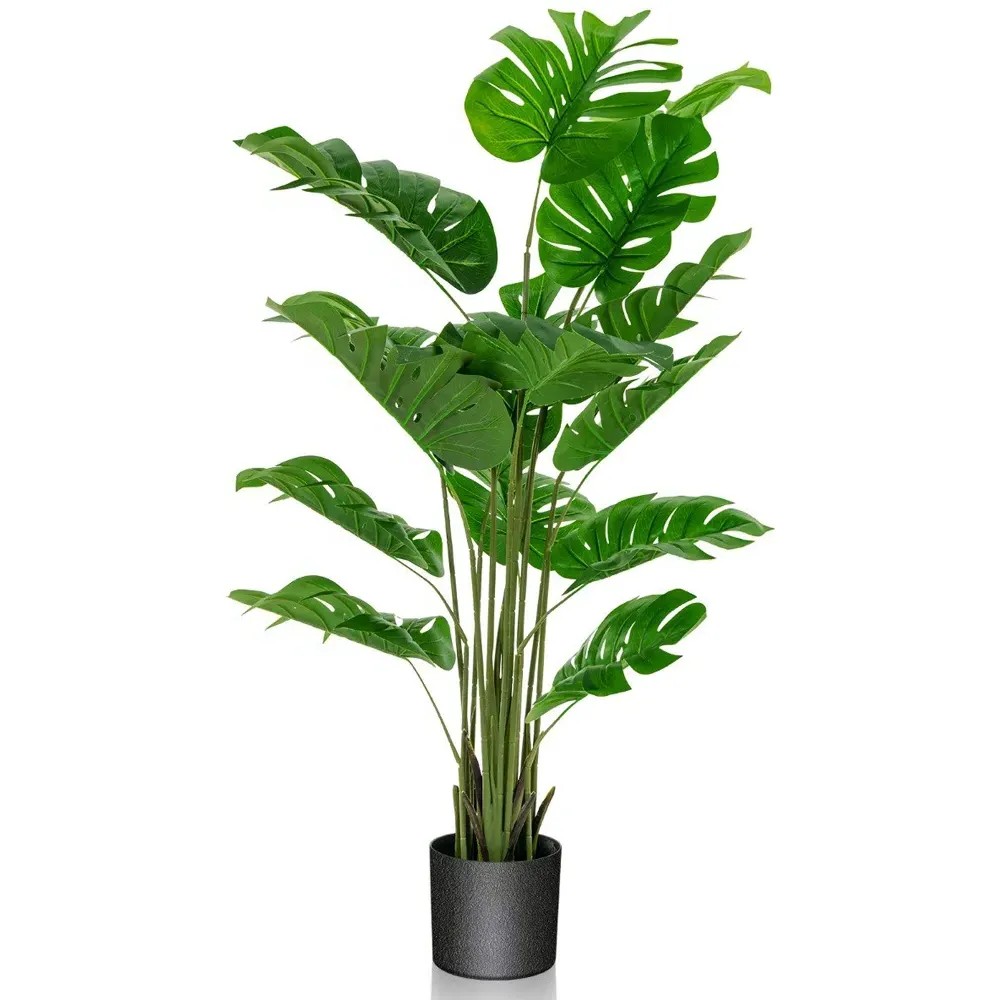 Monstera Plant 5ft with Pot - Green, PEVA