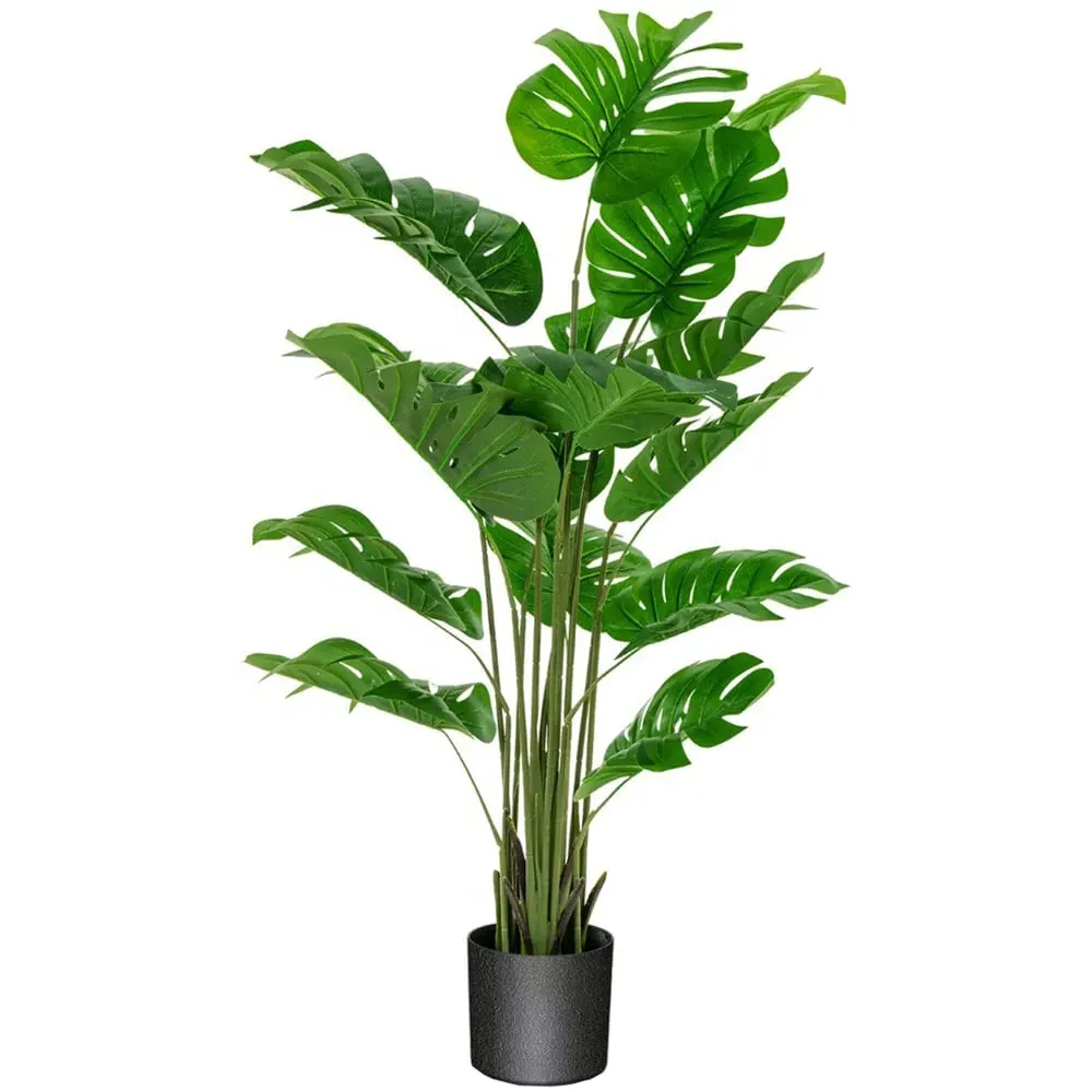 Monstera Plant 5ft with Pot - Green, PEVA
