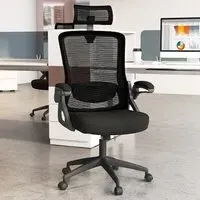 Office Chair with Adjustable Lumbar Support - Black