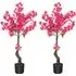 Plum Blossom Tree 105cm 2 Pack - Pink