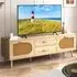 Rattan TV Stand with Solid Wood Legs - Natural