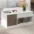 Single Door Lift Up Coffee Table - White