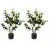 White Camellia Tree Artificial Plant in Pot 3.1ft 2 Pack - White
