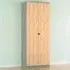 Bora 2 Door Wardrobe - Green, Gold Oak