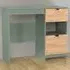 Bora 2 Drawer Vanity with Shelf - Green, Oak