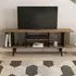 Akya TV Unit - Walnut, Black