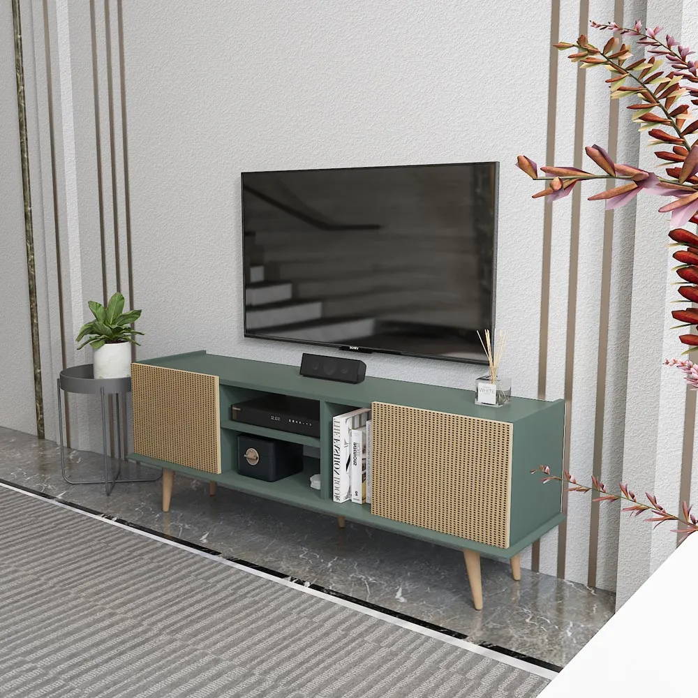 Ecuador 2 Door TV Unit with Storage - Silva