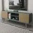 Ecuador 2 Door TV Unit with Storage - Silva