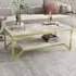 Flora Coffee Table with Shelf - White and Gold, Marble