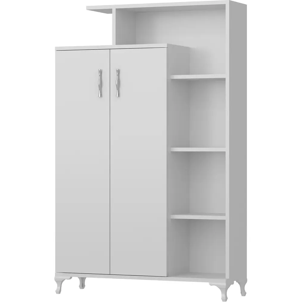 Gupse 2 Door Storage Cabinet with Shelves - White