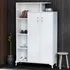 Gupse 2 Door Storage Cabinet with Shelves - White