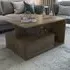 Mana Coffee Table with Shelf and Cabinet - Walnut