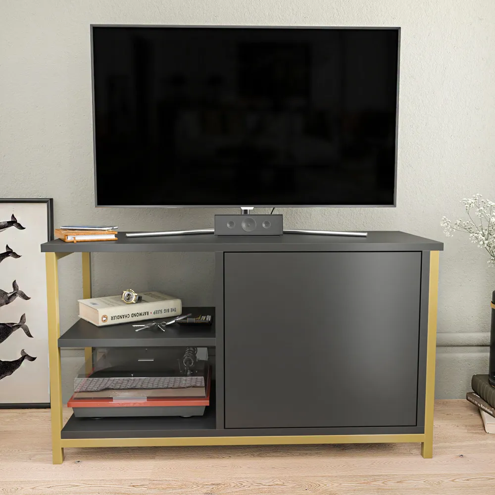 Muskegon TV Unit with Storage - Gold, Anthracite
