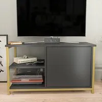 Muskegon TV Unit with Storage - Gold, Anthracite