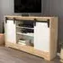 Nisay 2 Door TV Unit with Storage - Oak, White