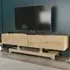 Tera 2 Door TV Unit with Storage - Oak