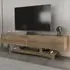 Tera 2 Door TV Unit with Storage - Walnut