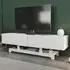 Tera 2 Door TV Unit with Storage - White