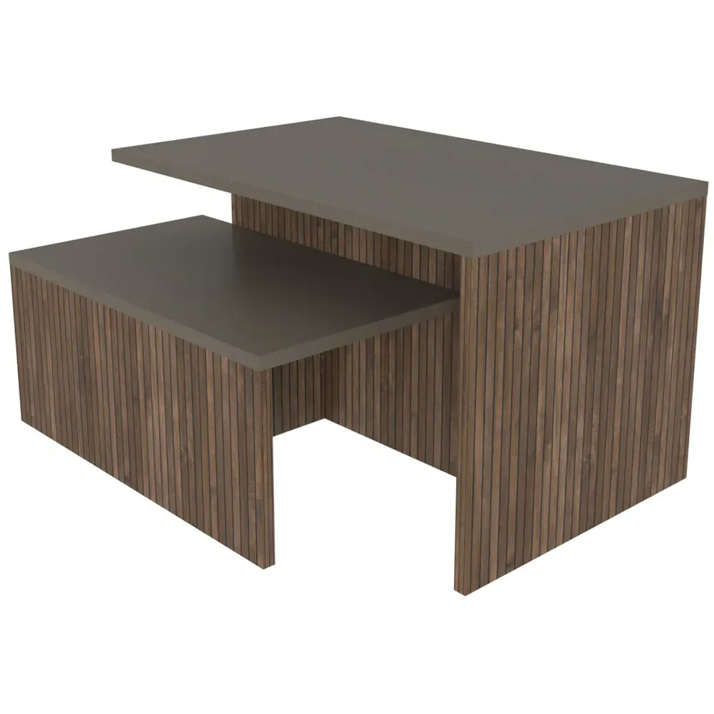 Twins Galaxy Alina Nest Coffee Tables Set of 2