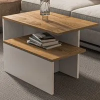 Twins Oud White Nest Coffee Tables Set of 2