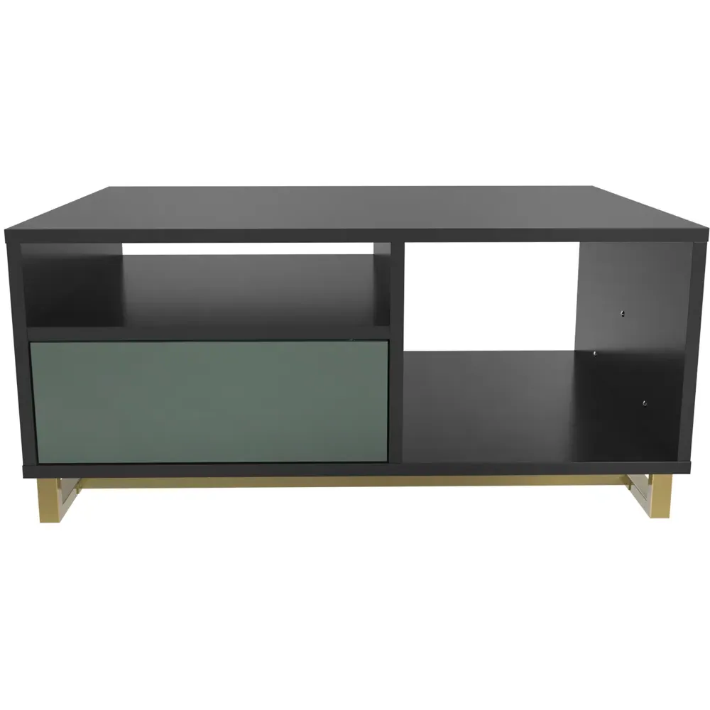 Utopie 2 Door Coffee Table with Storage - Black, Green