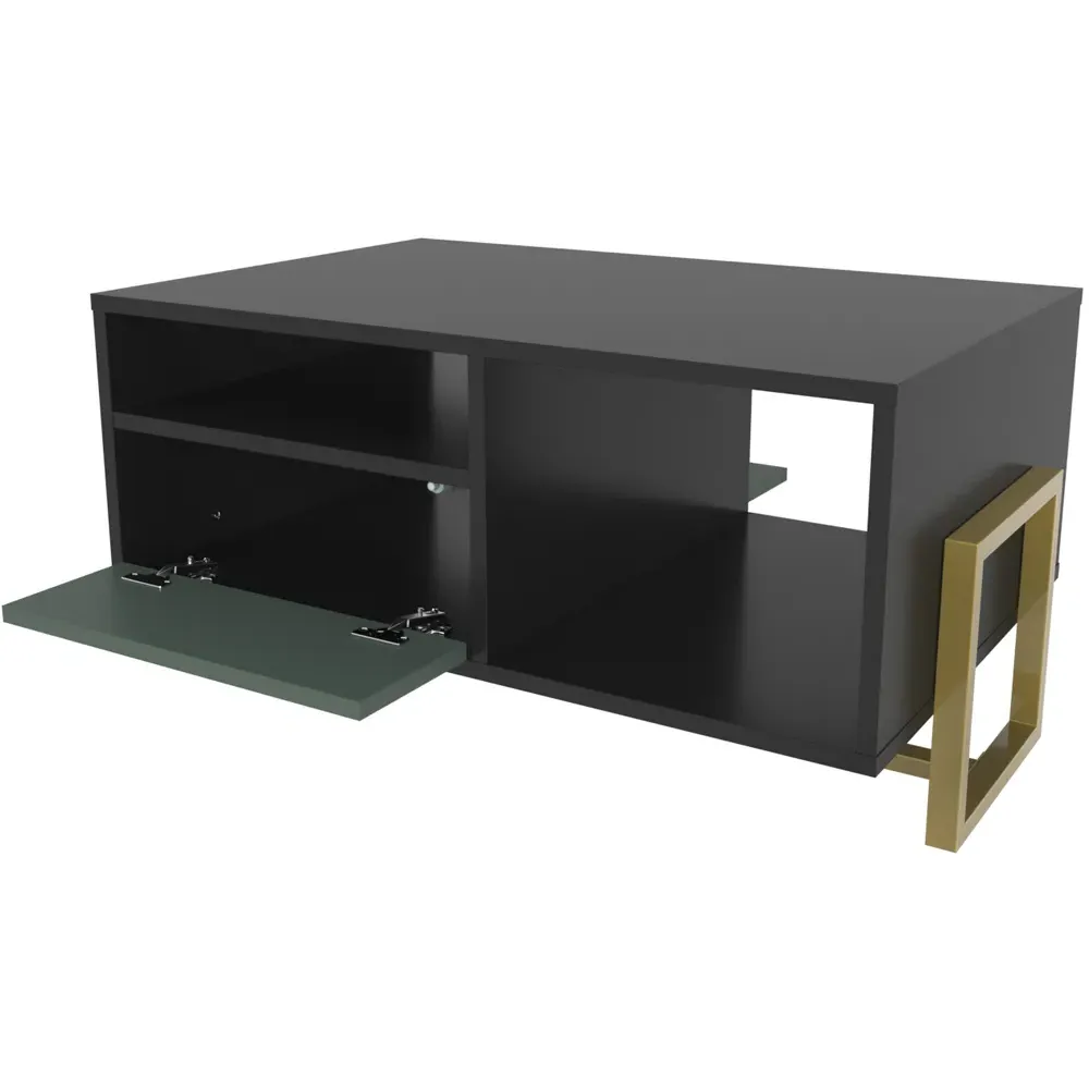 Utopie 2 Door Coffee Table with Storage - Black, Green