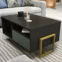 Utopie 2 Door Coffee Table with Storage - Black, Green