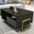 Utopie 2 Door Coffee Table with Storage - Black, Green