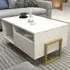 Utopie 2 Door Coffee Table with Storage - White