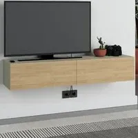 Francy 2 Door Wall Mounted TV Unit - Ash Green, Oak