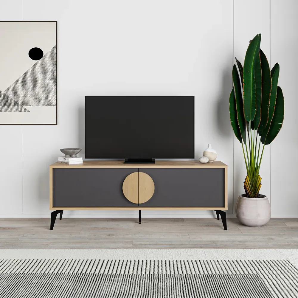 Gora 2 Door TV Unit with Circle Handle - Black, Engineered Wood