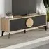 Gora 2 Door TV Unit with Circle Handle - Black, Engineered Wood