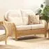 Centurion 2-Seater Sofa - Brown, Rattan