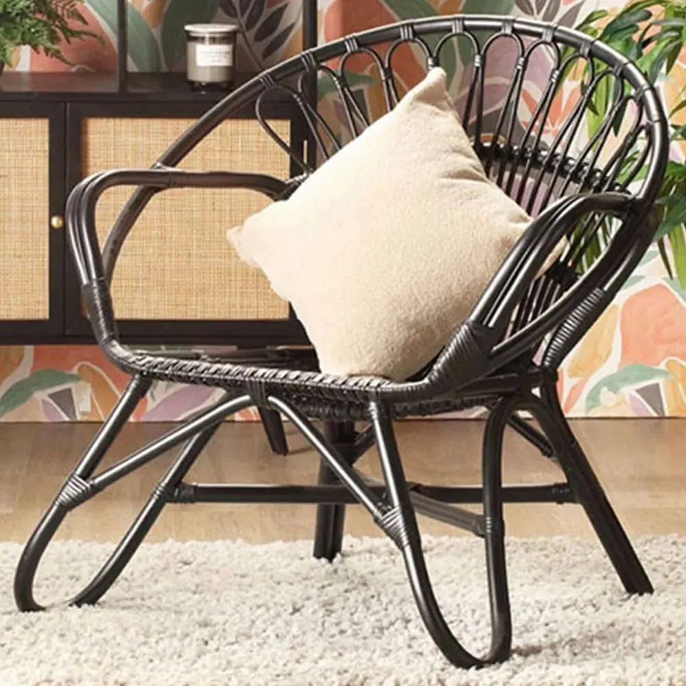 Nordic Rattan Chair - Black image