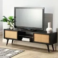 Manhattan 2 Door TV Unit with Storage - Black, Mango Wood