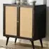 Manhattan 2 Door Wine Cabinet - Black, Mango Wood