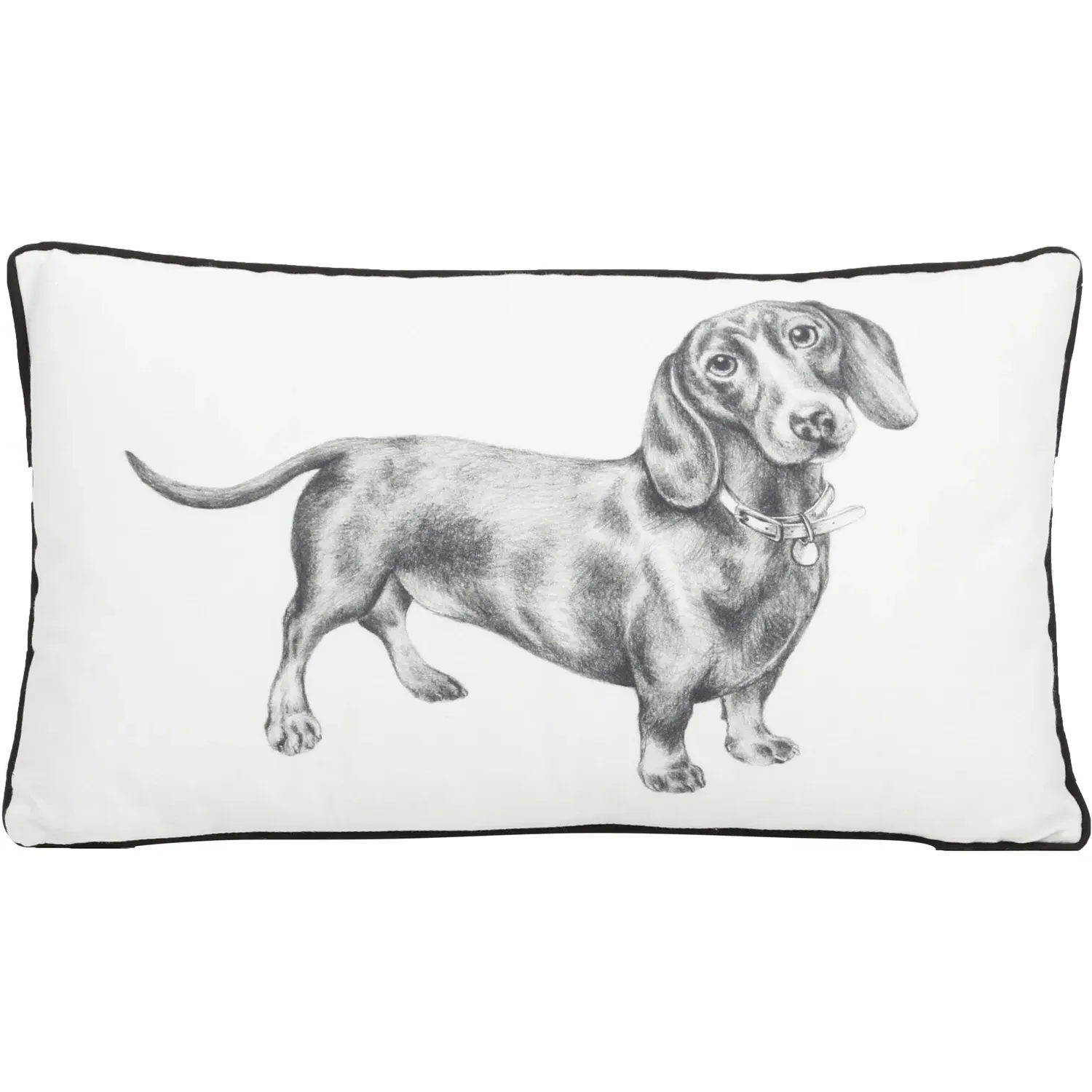 Dexter The Dachshund Cushion - White