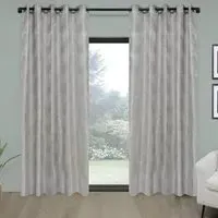 Phoenix Eyelet Curtains - Silver