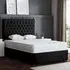 Seraphine Double Upholstered Panel Divan Bed - Black