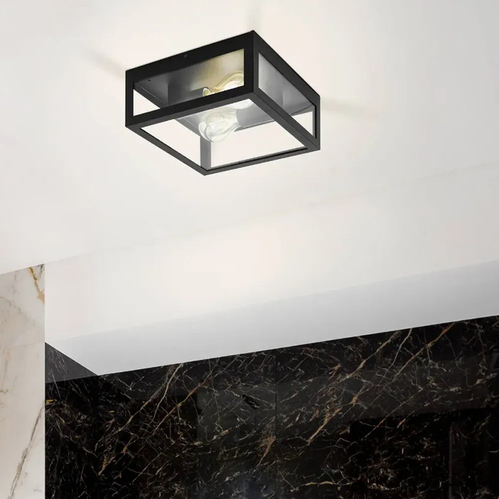 Amezola 2 Light Caged Wall or Ceiling Light - Black