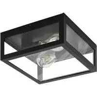Amezola 2 Light Caged Wall or Ceiling Light - Black