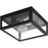 Amezola 2 Light Caged Wall or Ceiling Light - Black