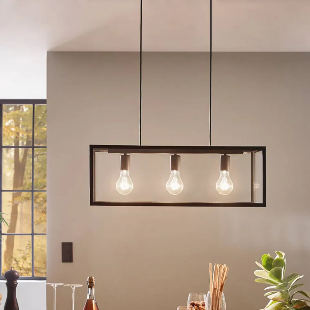 Charterhouse 3L Caged Pendant Light - Black