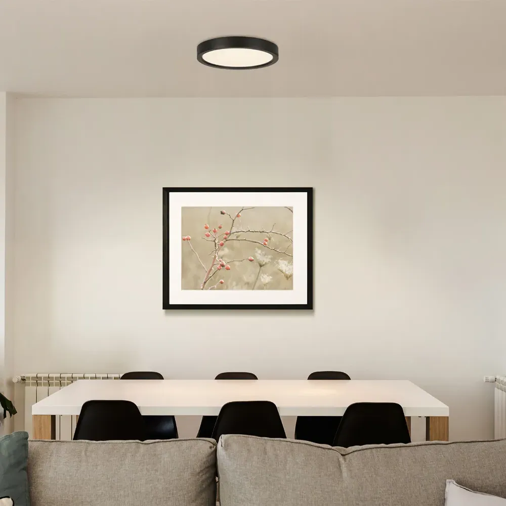 Idun-E LED Ceiling Light - Black