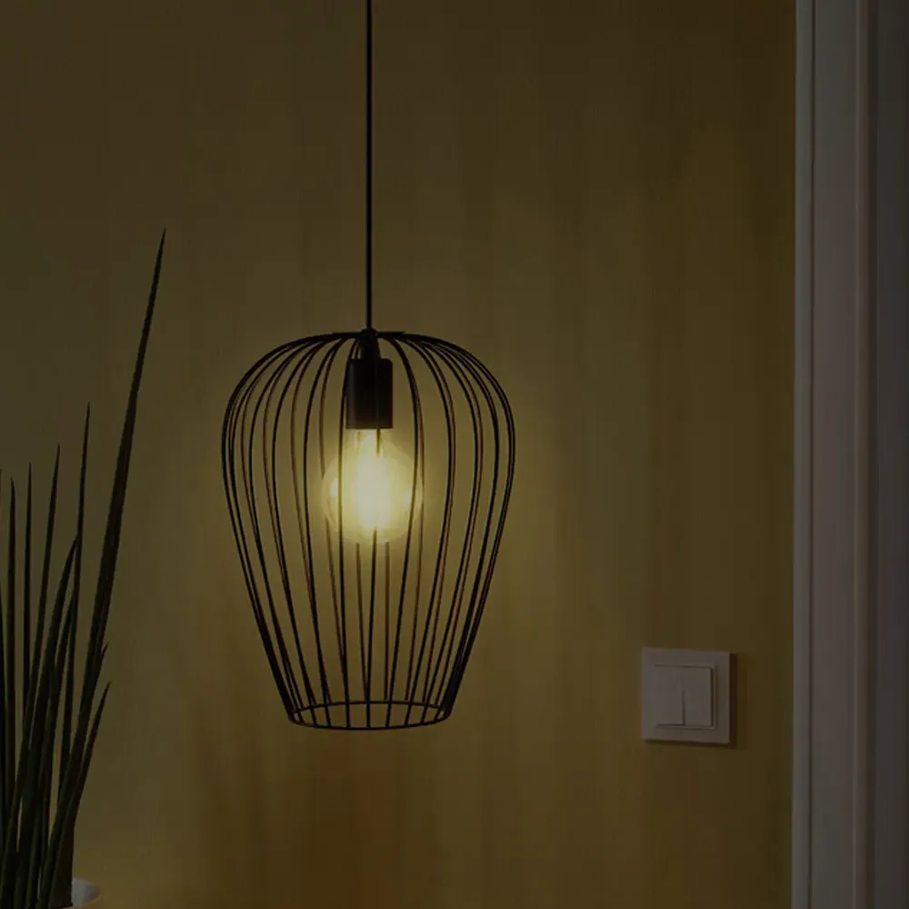 Newton Caged Shade Pendant Light - Black